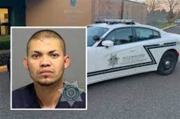 
Alexis Ibarra Gomez – Ricky Bobby Age, Birthday, Wikipedia, Who, Nationality, Biography 