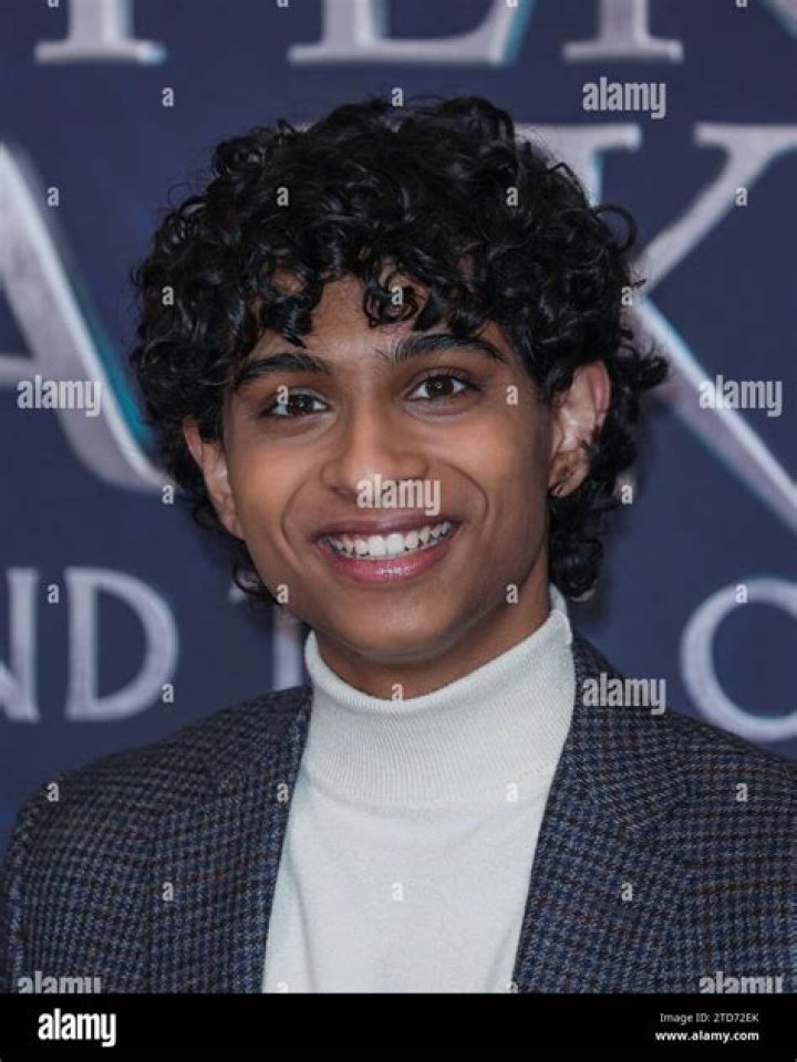 Aryan Simhadri Height, Weight, Net Worth, Age, Birthday, Wikipedia, Who, Nationality, Biography