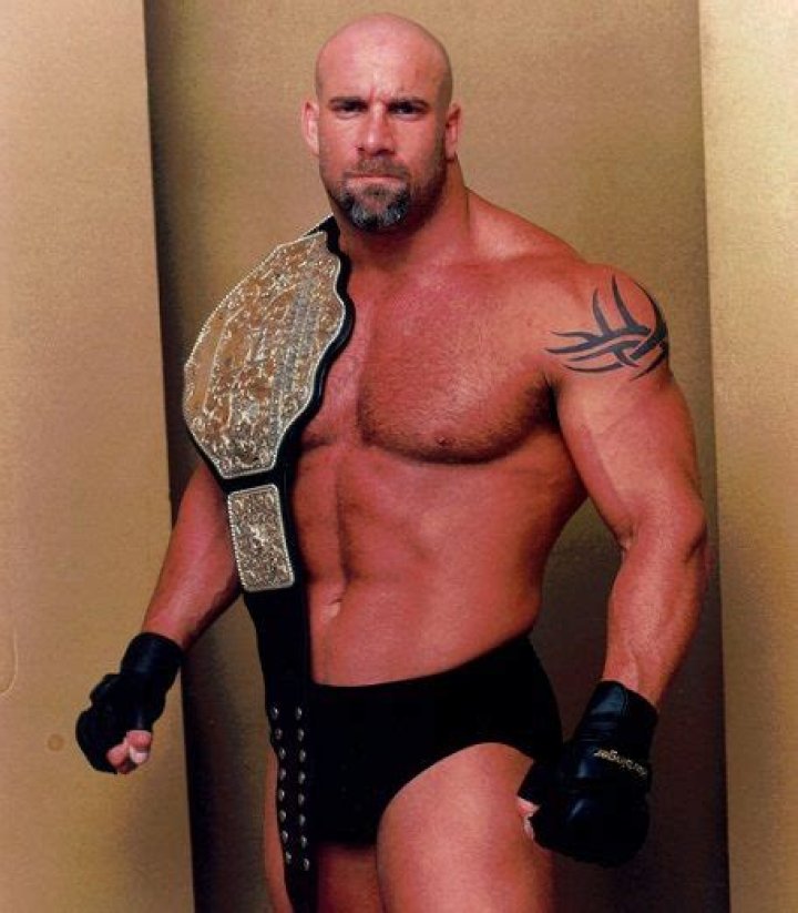 Bill Goldberg Height, Weight, Net Worth, Age, Birthday, Wikipedia, Who, Instagram, Biography