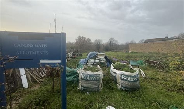 
Carly Burd GoFundMe raises more than £134,000 after vandals destroy charity food garden 