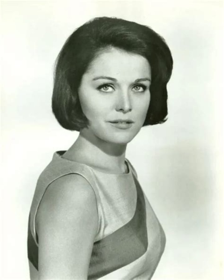 Cindy Blackman Height, Weight, Net Worth, Age, Birthday, Wikipedia, Who, Instagram, Biography