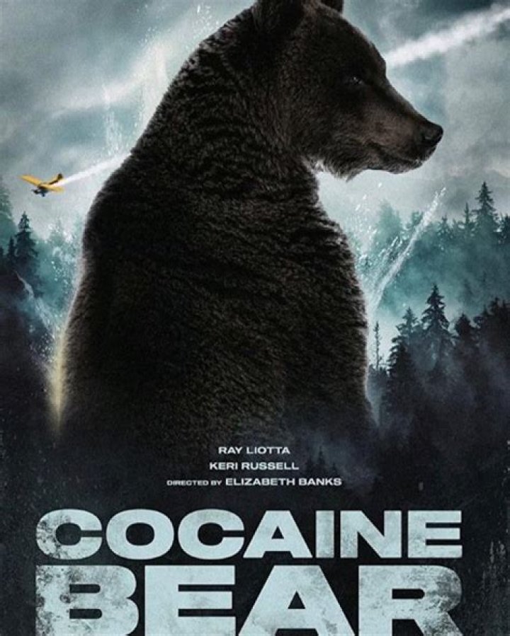 
Cocaine Bear: How much box office money did the Elizabeth Banks film make over the February 27 weekend? 