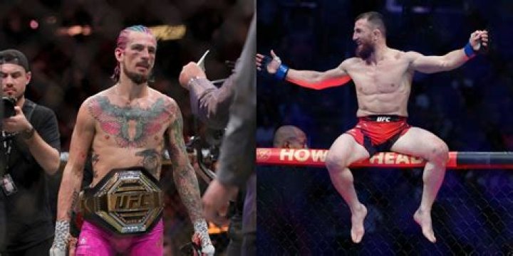 
Conner O Malley Height, Weight, Net Worth, Age, Birthday, Wikipedia, Who, Nationality, Biography 