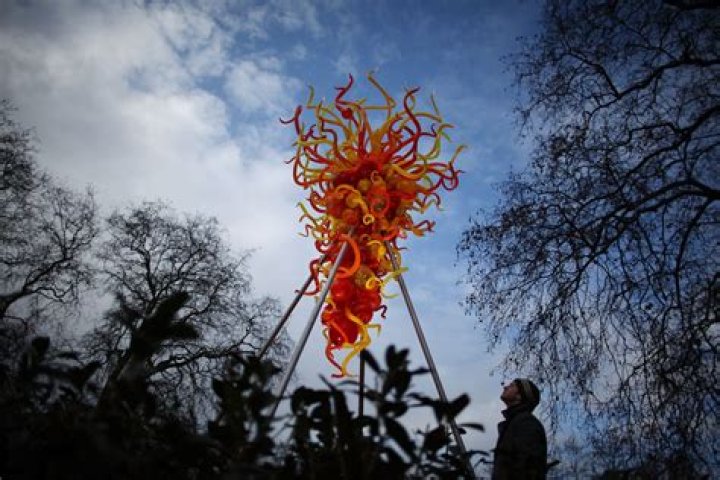 
Dale Chihuly Height, Weight, Net Worth, Age, Birthday, Wikipedia, Who, Instagram, Biography 