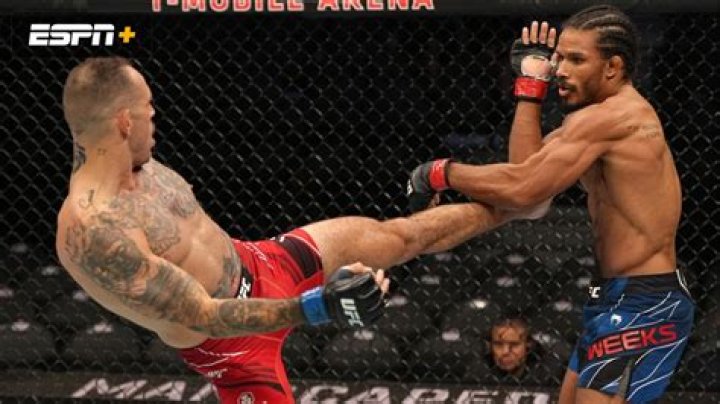 
Darian Weeks Height, Weight, Net Worth, Age, Birthday, Wikipedia, Who, Nationality, Biography 