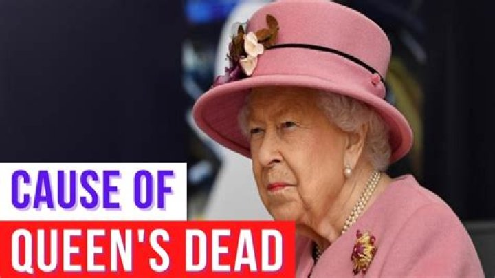 
Dave Rainford Eggheads Wikipedia And Cause Of Death, Did He Have Cancer? 