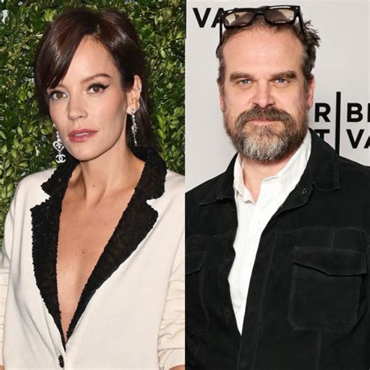 
David Harbour Wife Who is David Harbour Wife? 