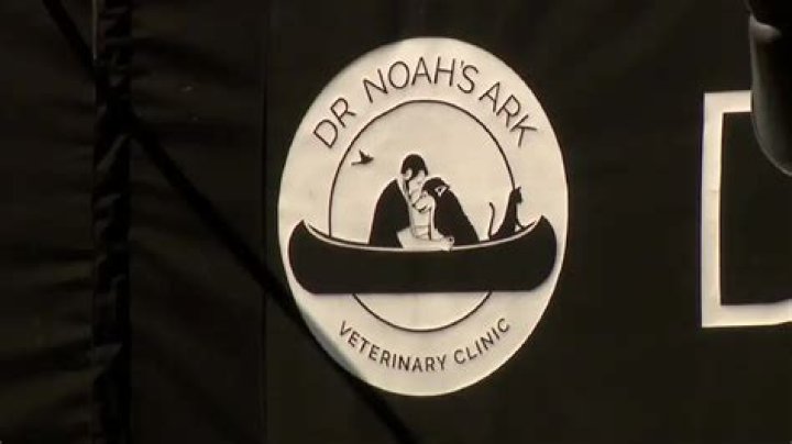 Did Dr Noah Arnold Killed Himself? Suicide Linked To His Death Cause