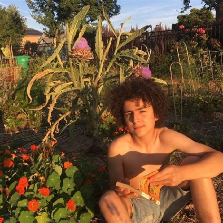 Elisha Henig Height, Weight, Net Worth, Age, Birthday, Wikipedia, Who, Instagram, Biography