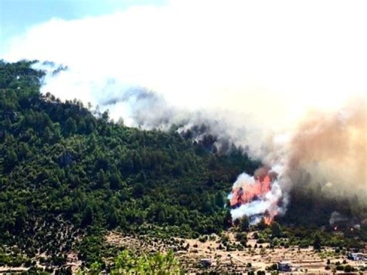 
Forest fire in Turkey prompts evacuation of 410 people 