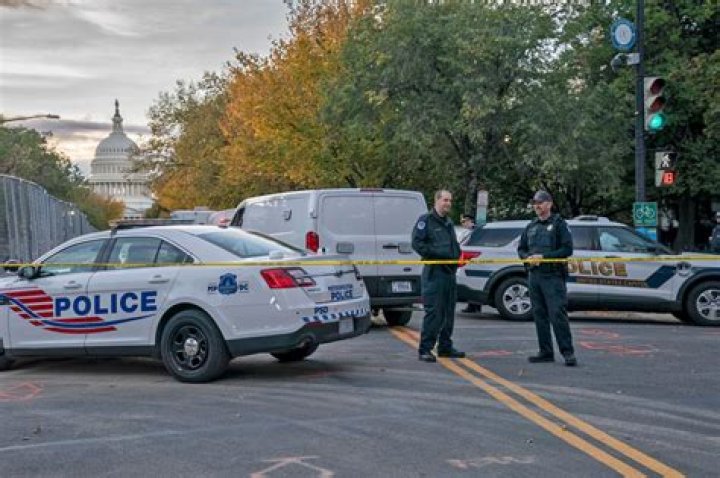 
Georgia man arrested for allegedly bringing guns in vehicle on US Capitol grounds 