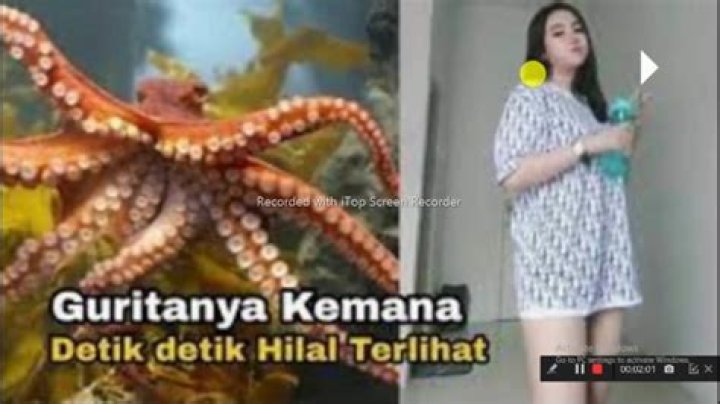 
Gurita Viral Tiktok Video: What is The Video Actually About? 