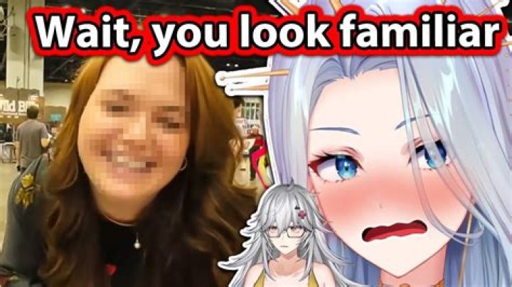 Has Vtuber AmaLee Done A Face Reveal? See Her Photos On Twitter