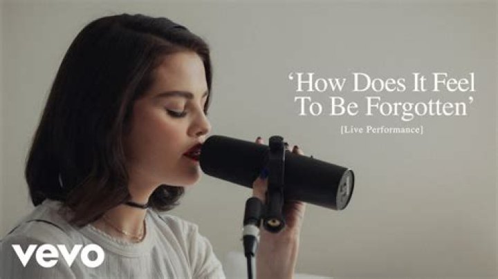 
How Does It Feel To Be That Bitch Song Lyrics on TikTok meaning clarified 