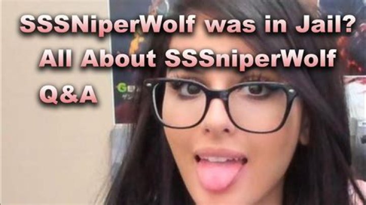 Is Youtuber Sssniperwolf In Jail? What Did She Do- Arrest And Charge