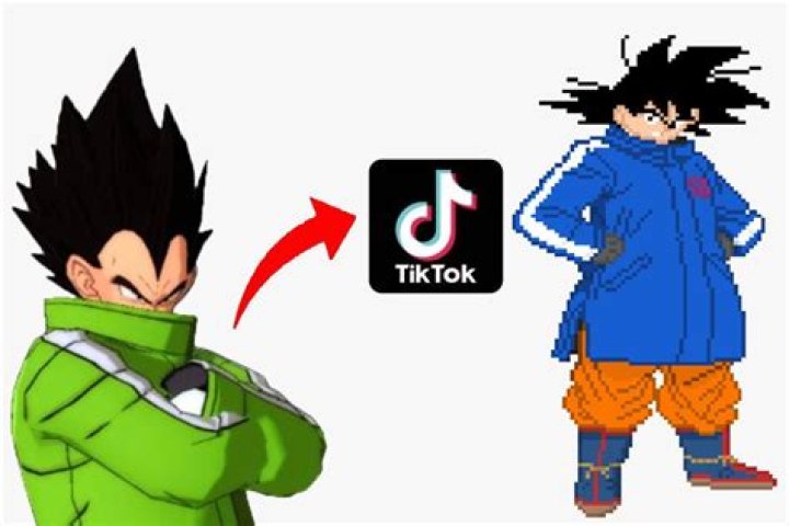 
Jacket Cult – Goku Cult Age, Birthday, Wikipedia, Who, Nationality, Biography 