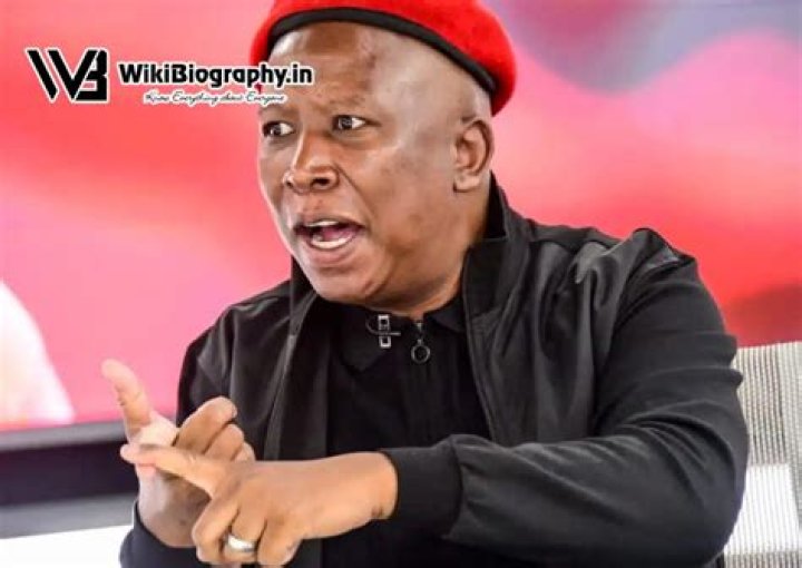 Julius Malema Height, Weight, Net Worth, Age, Birthday, Wikipedia, Who, Instagram, Biography