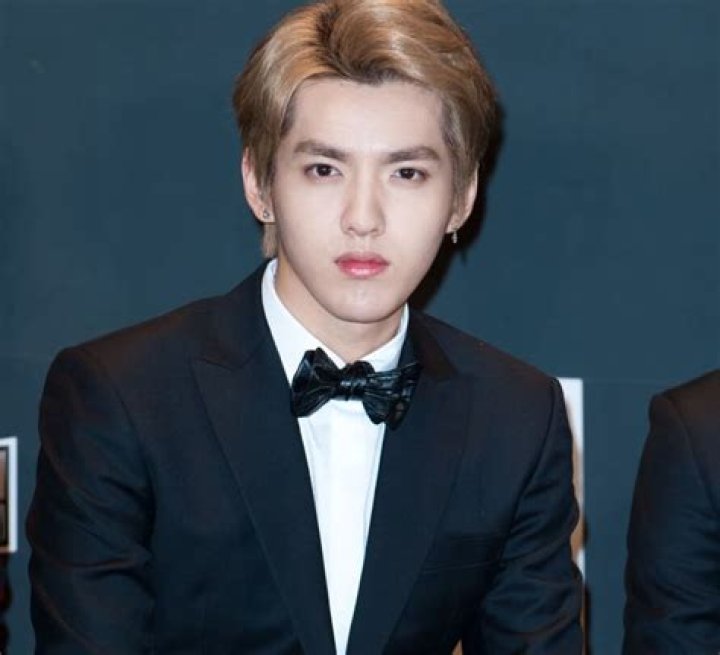 
Kris Wu, The Canadian Rapper: Details About His Mother & Father 