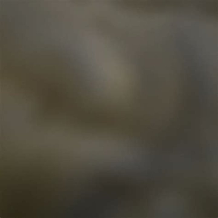  Lily Rose – Itslilyrose