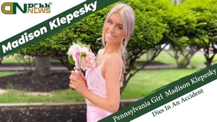 
Madison Klepesky Age, Birthday, Wikipedia, Who, Nationality, Biography 