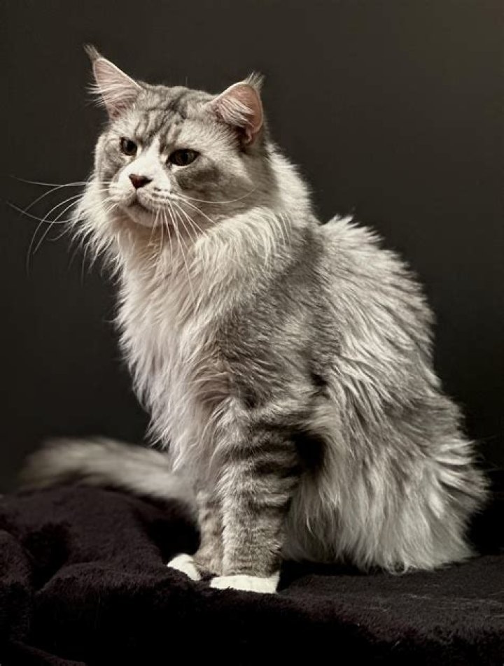 Meet John Coon And Paula Coon, Carrie Coon Parents, Family And Net Worth