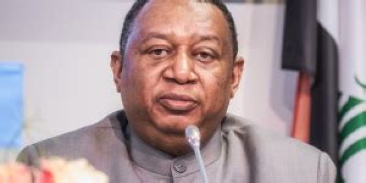 
Muhammad Sanusi Barkindo Height, Weight, Net Worth, Age, Birthday, Wikipedia, Who, Nationality, Biography 