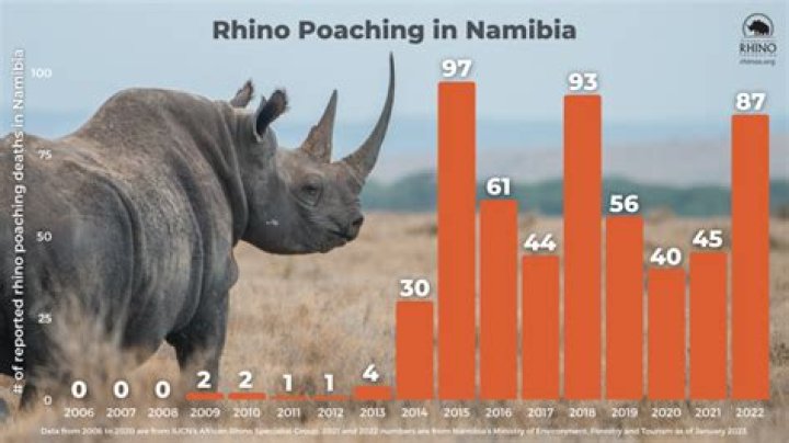 
Namibia Sees Highest Ever Level of Rhino Poaching 