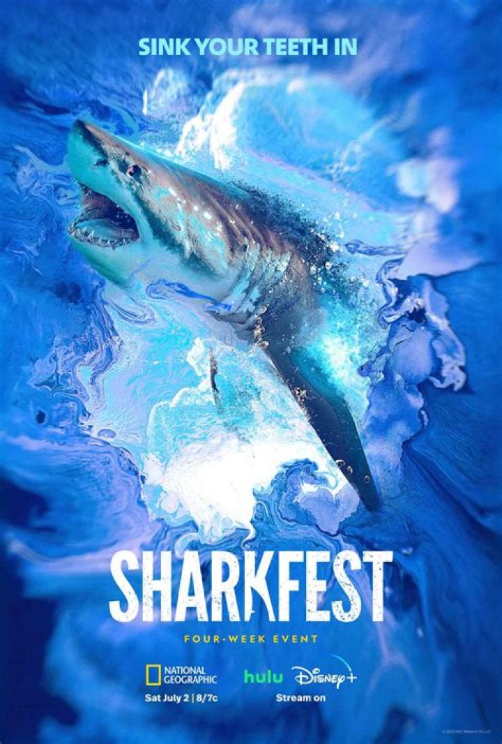 
Nat Geo’s Biggest SHARKFEST Ever Announced! [EXCLUSIVE] 