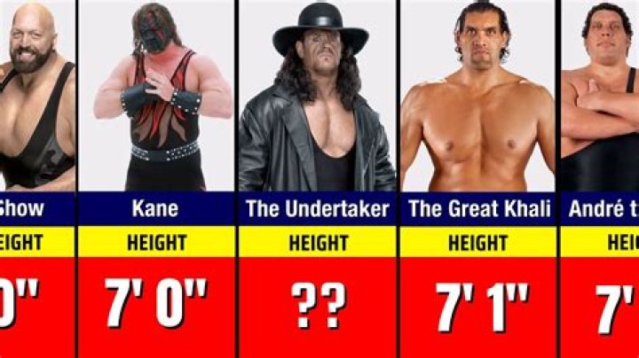 Noah Kane Height, Weight, Net Worth, Age, Birthday, Wikipedia, Who, Nationality, Biography