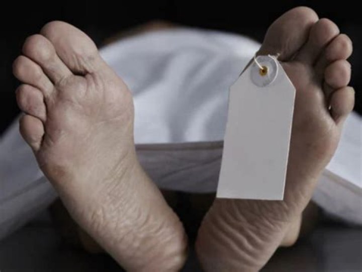 Peter Seaton | Death Cause | Family Mourns the Loss