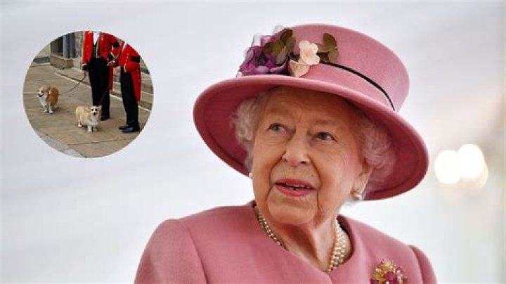 
Queen Elizabeth II’s Corgis Are Aware of Her Death, Trainer Dr. Roger Mugford Says 