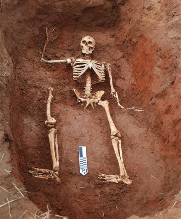 
Skeletal Remains Found in 1988 Belonged to Teen Girl Who Vanished 50 Years Ago, Investigators Say 