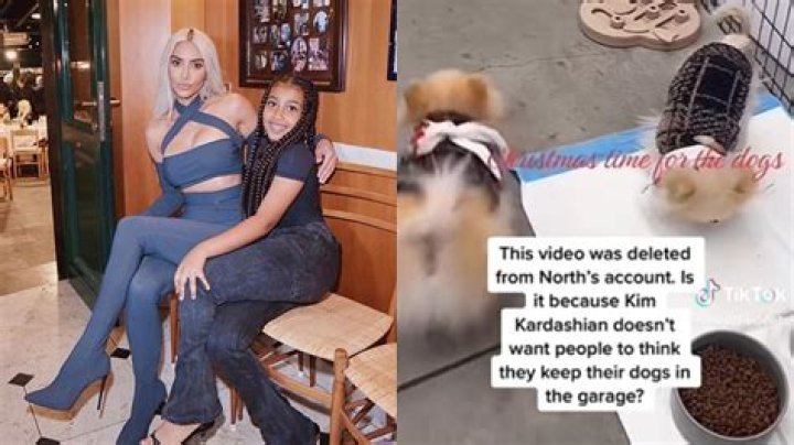 
“Someone call animal control”: Kim Kardashian’s deleted TikTok dog video controversy explained as reality star dissed online for Pomeranians’ upkeep 