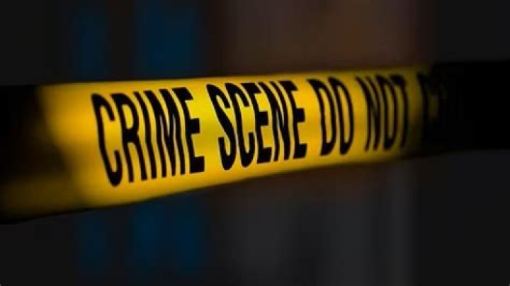 Sonja Day | Murder And Case