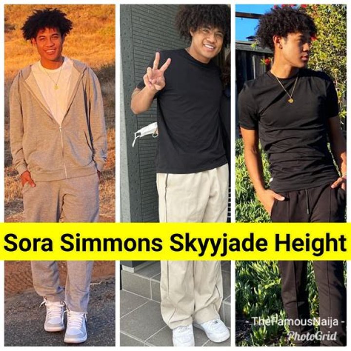 Sora Simmons Height, Weight, Net Worth, Age, Birthday, Wikipedia, Who, Nationality, Biography