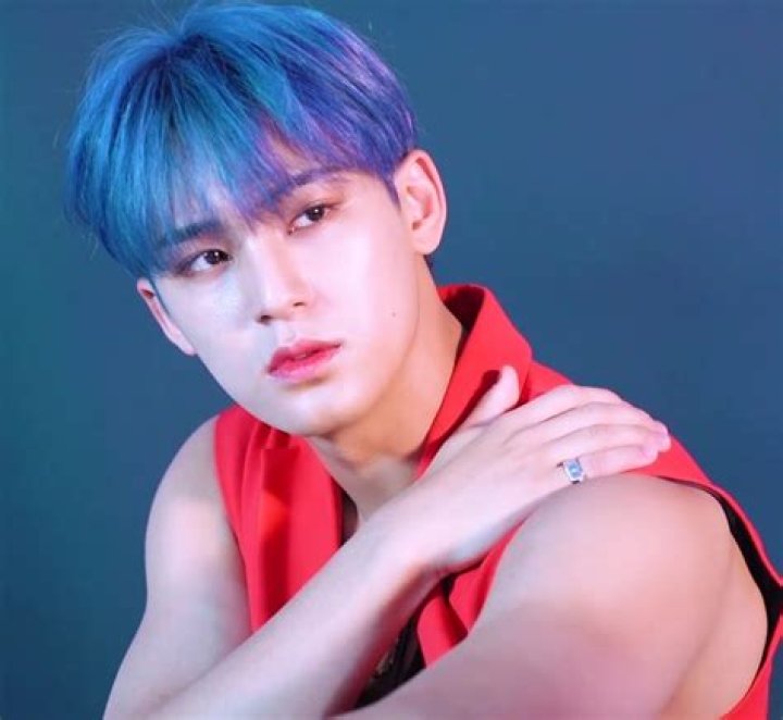 The Untold Truth of Seventeen Member – Kim Mingyu