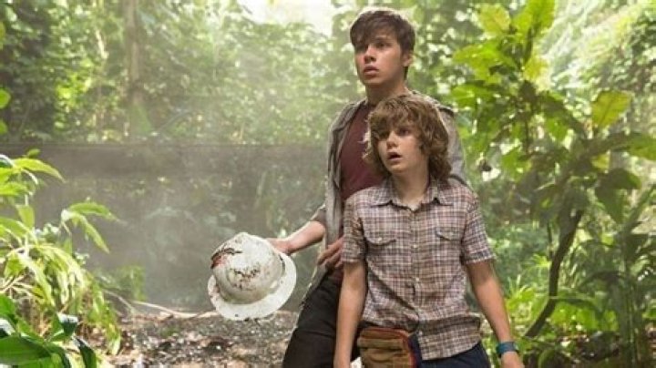 
Ty Simpkins Bio, Movies and Net Worth of The End Game Actor 