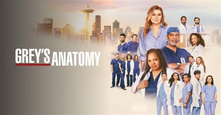 When Will Season 17 of ‘Grey’s Anatomy’ be on Netflix?