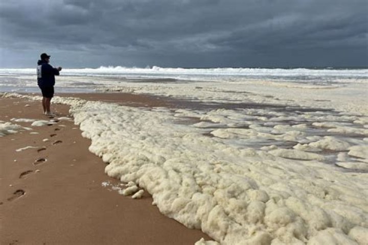 
Who Is Jamie Brown Aldinga? Adelaide Bikie Arrested After A Home Raid 
