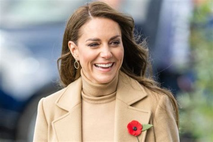 
Why Are Members of the British Royal Family All Wearing Poppy Pins This Month? 