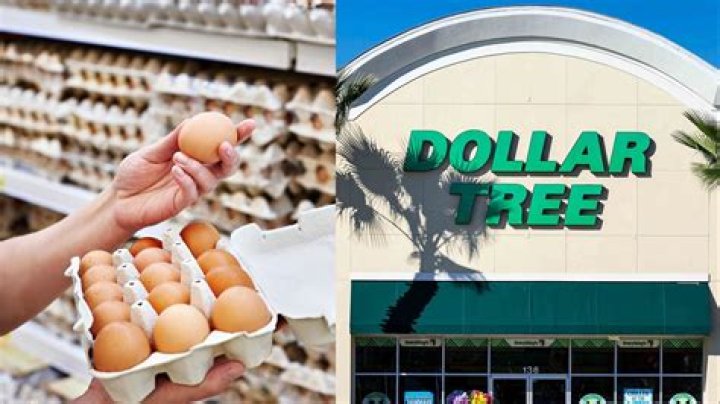 
Why has Dollar Tree stopped selling eggs? Reason revealed amidst price surge 